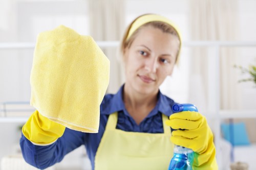 Professional carpet cleaning in a Chiswick home interior