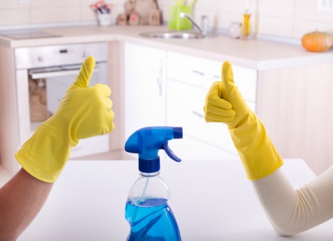 Stain removal treatment during carpet cleaning in Chiswick