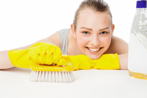 Chiswick cleaning services for residential properties