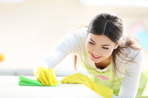 Professional cleaner in Chiswick providing home cleaning services