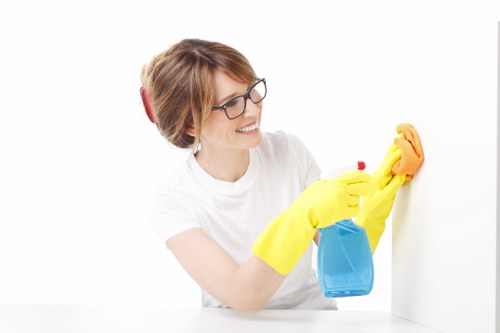 Professional domestic cleaning for busy Chiswick households