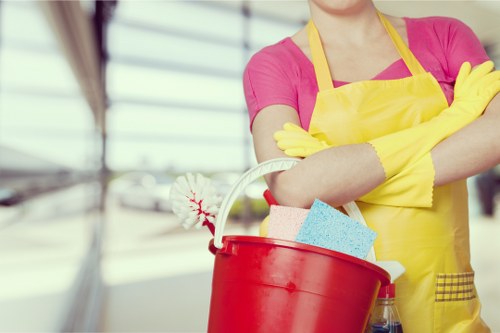 Local cleaner in Chiswick delivering regular domestic cleaning