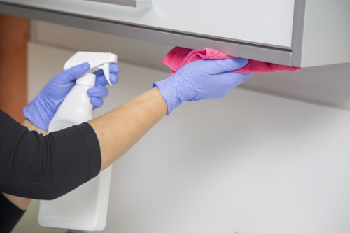 Domestic deep cleaning in Chiswick for a fresh home