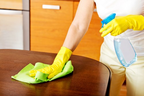 Deep cleaning for a Chiswick property